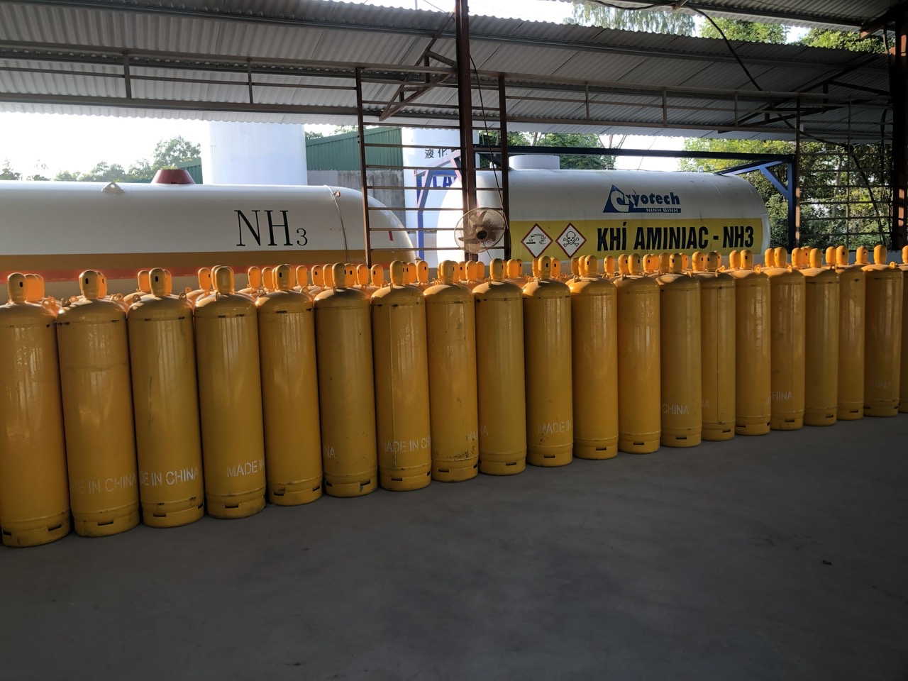 Hình Ảnh Hoạt Động Mới 4