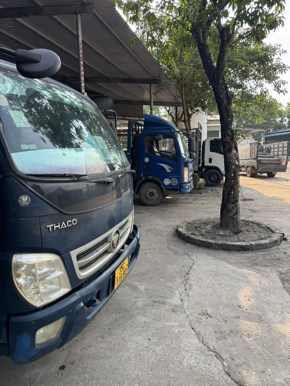 Hình Ảnh Hoạt Động Mới 9